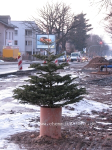 weihnachtsbaum_entsorgung_chemnitz